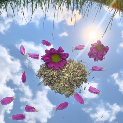 Coffret collection "oser fleurir" - pleine floraison